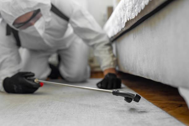 Professional Bed Bug Control technician working in Wilmington, OH