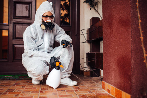 Reliable Bed Bug Control contractor in Wilmington, OH by Nex Pest Control
